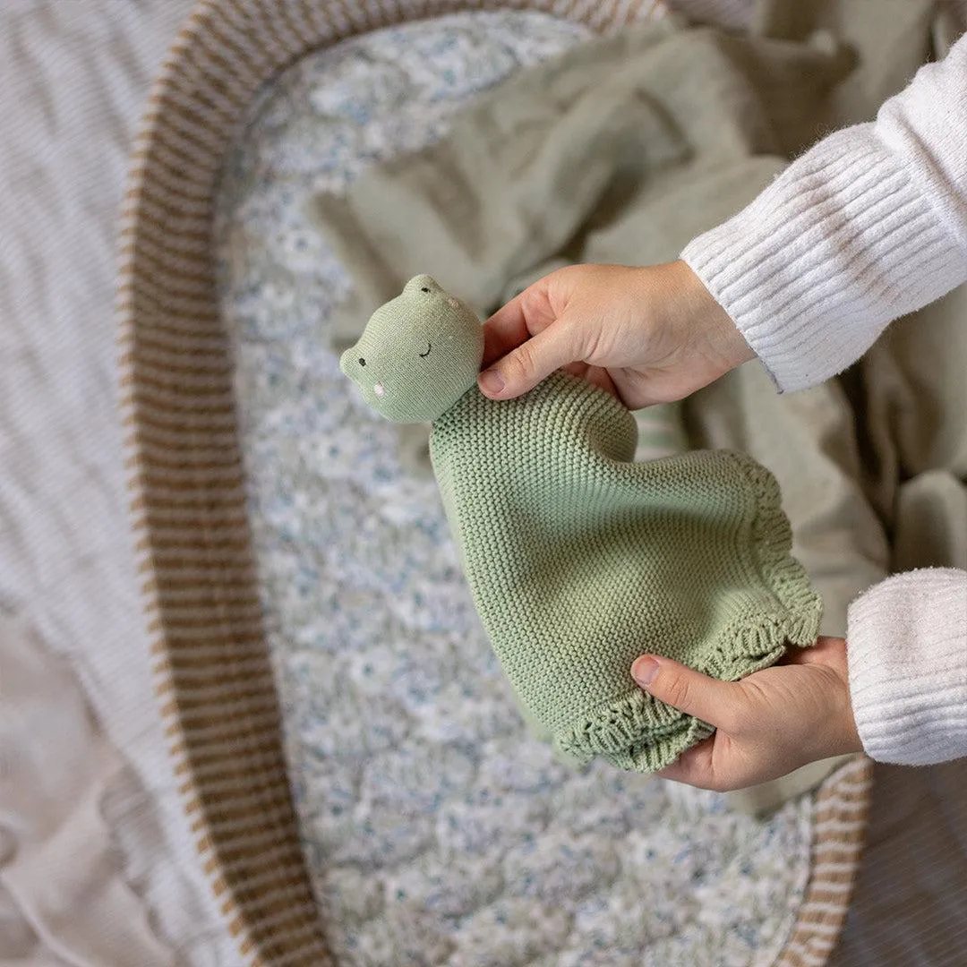 Avery Row Cuddle Cloth - Frog