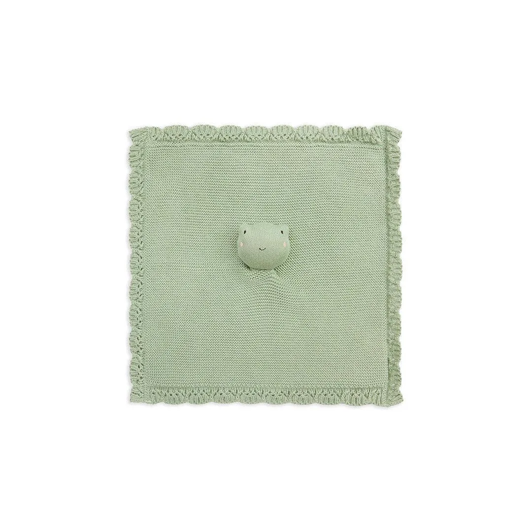 Avery Row Cuddle Cloth - Frog