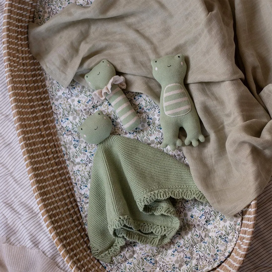 Avery Row Cuddle Cloth - Frog