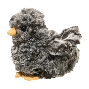 Black-Multi Chick