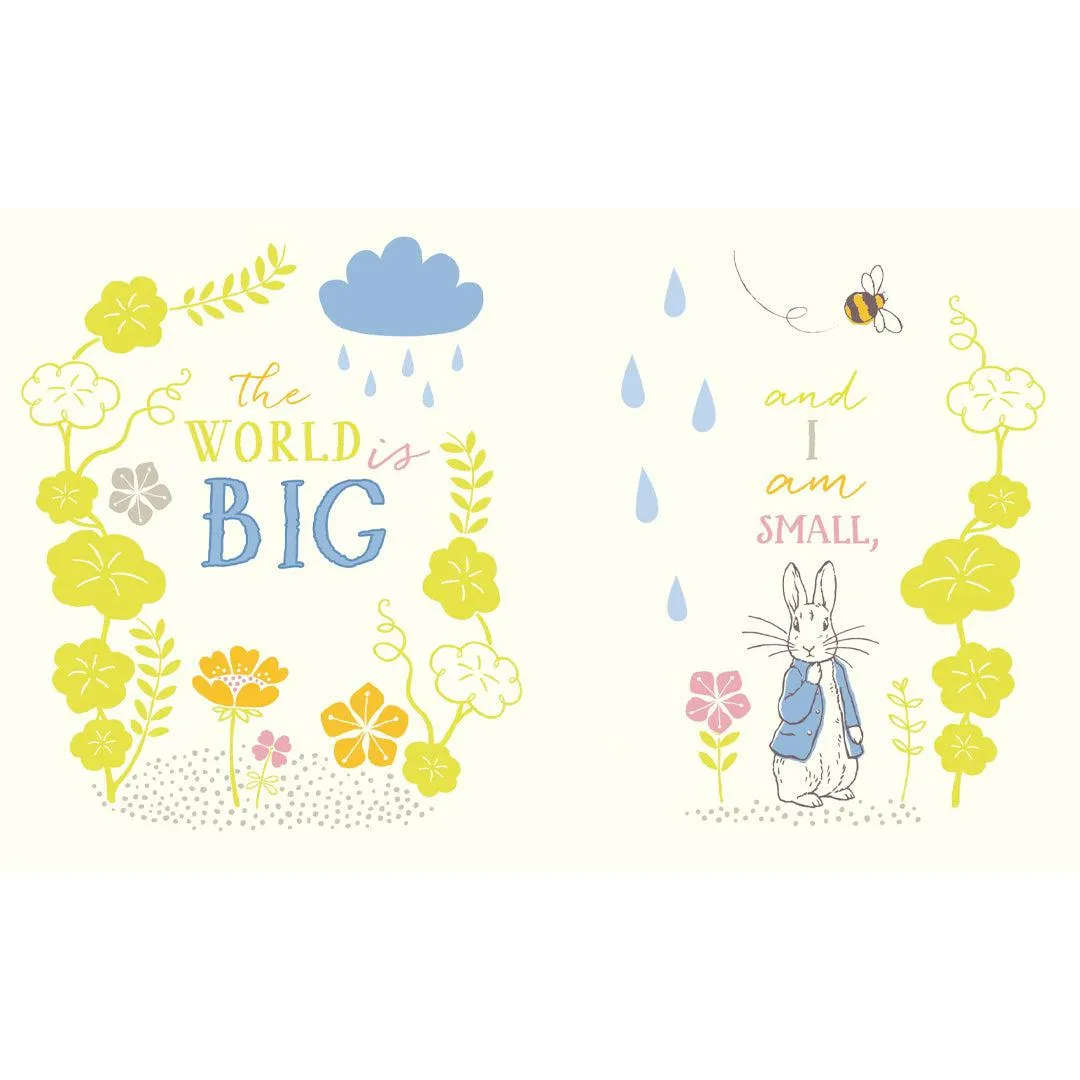 Bookspeed Peter Rabbit: I Love You Mummy Book