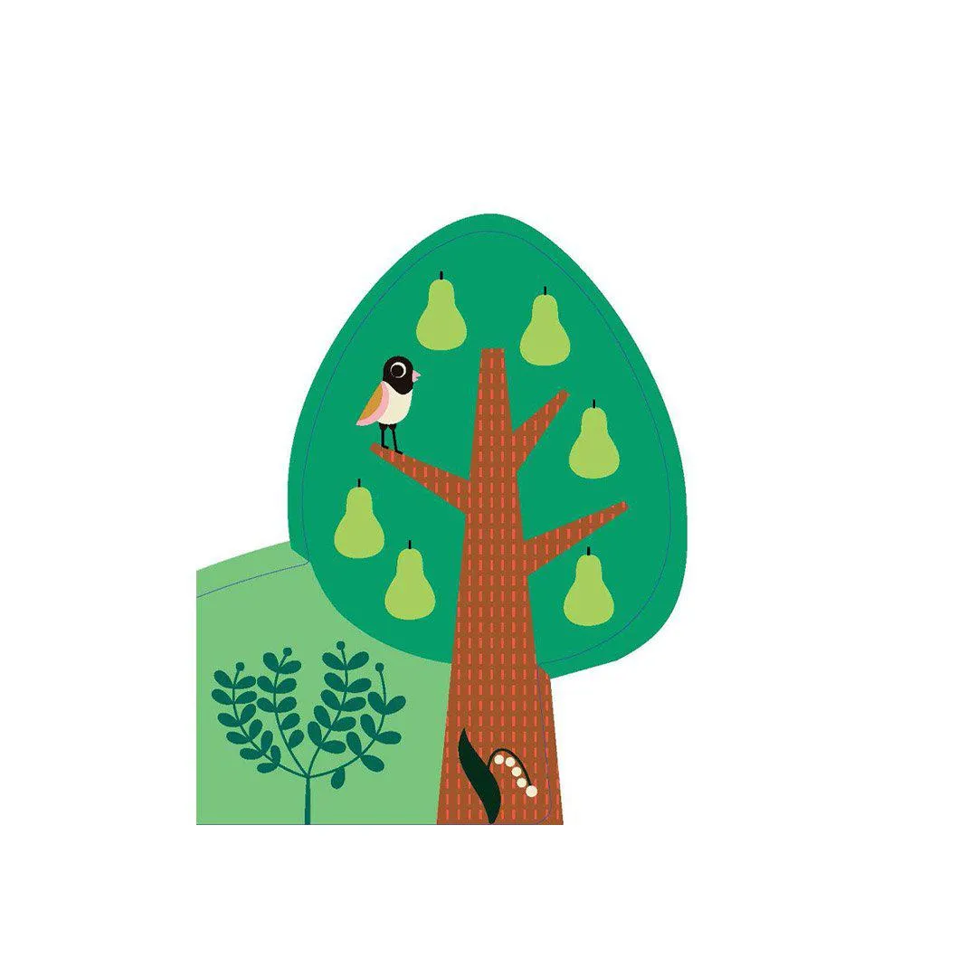 Bookspeed "A Forest's Seasons"