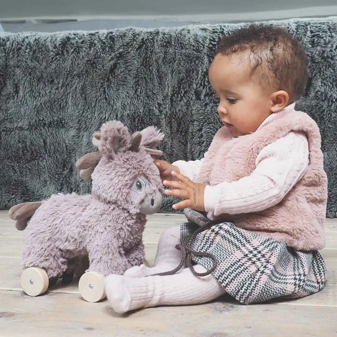 Little Bird Told Me - Pull-Along Donkey - Norbert (6m )