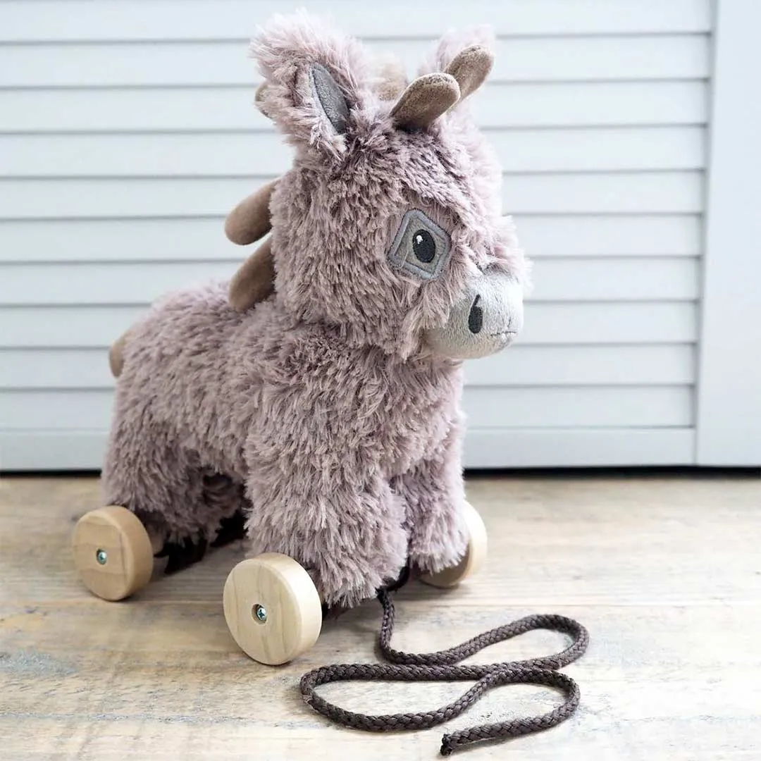 Little Bird Told Me - Pull-Along Donkey - Norbert (6m )