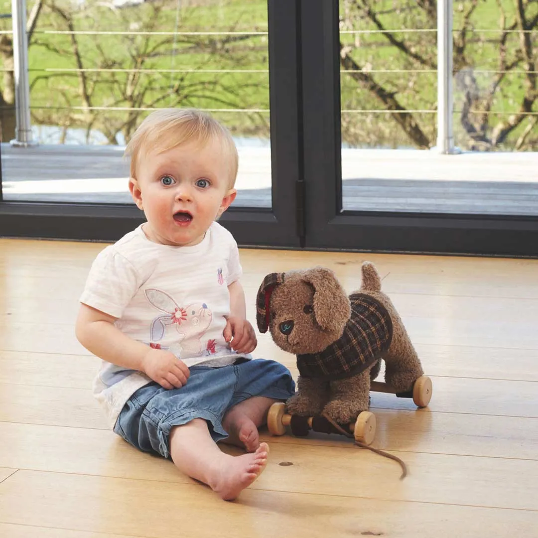 Little Bird Told Me - Pull-Along Pup - Percy (6m )
