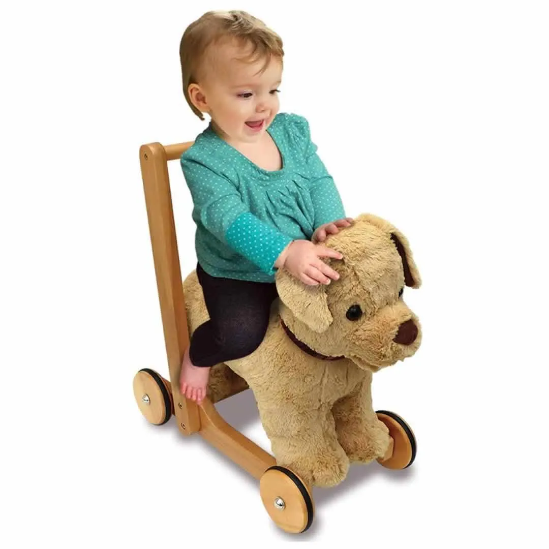 Little Bird Told Me - Push-Along Dog - Dexter (12m )