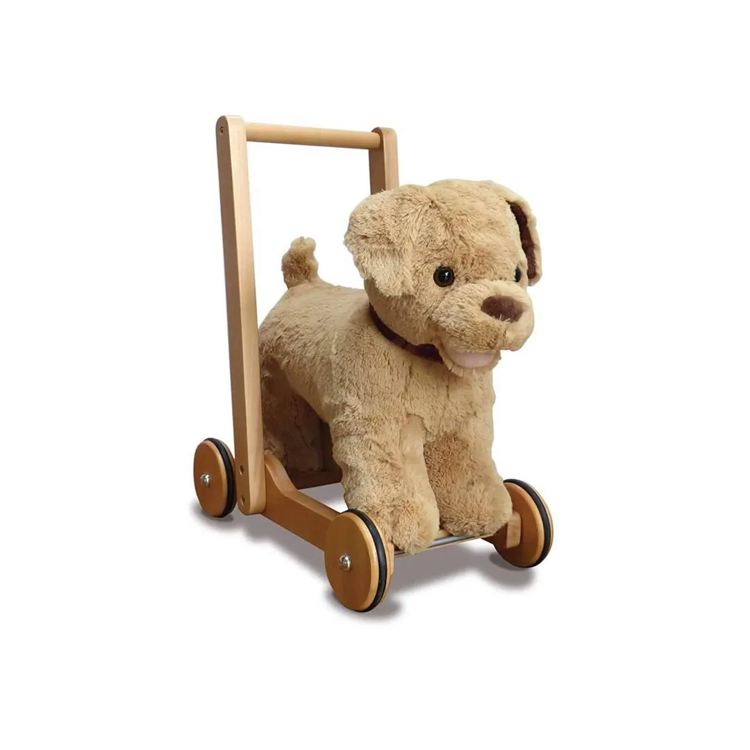 Little Bird Told Me - Push-Along Dog - Dexter (12m )