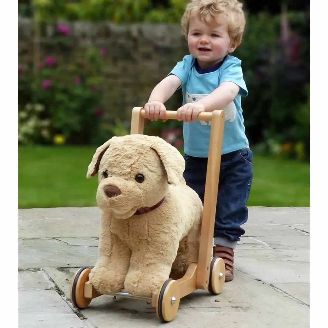 Little Bird Told Me - Push-Along Dog - Dexter (12m )
