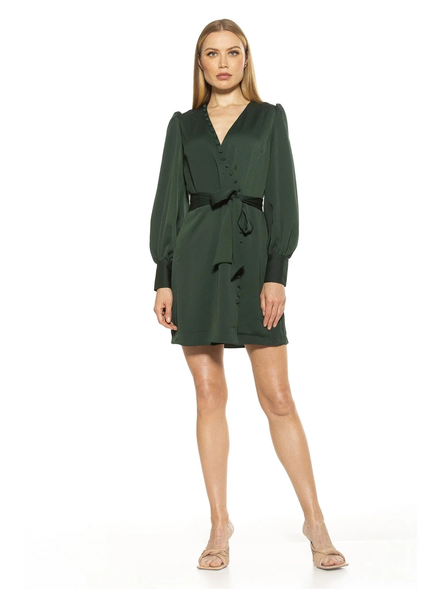 Mini Wrap Dress