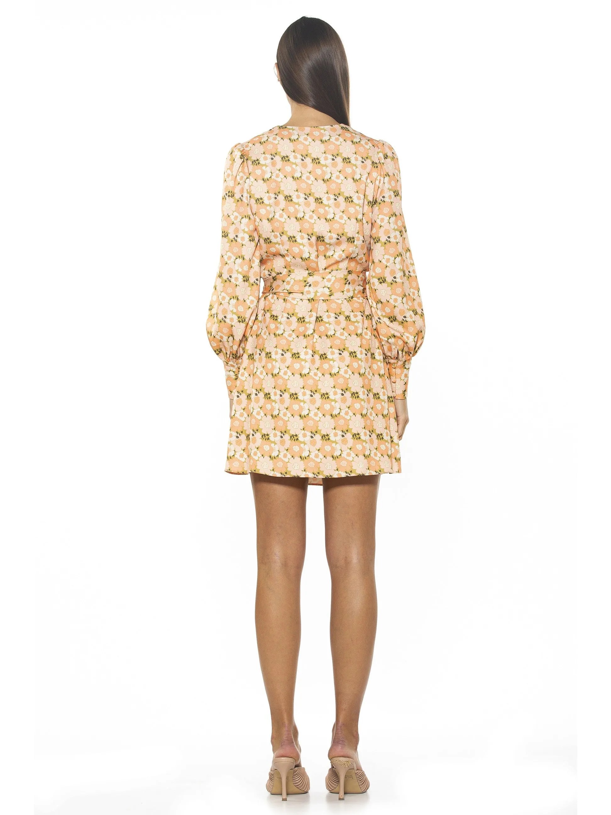 Mini Wrap Dress