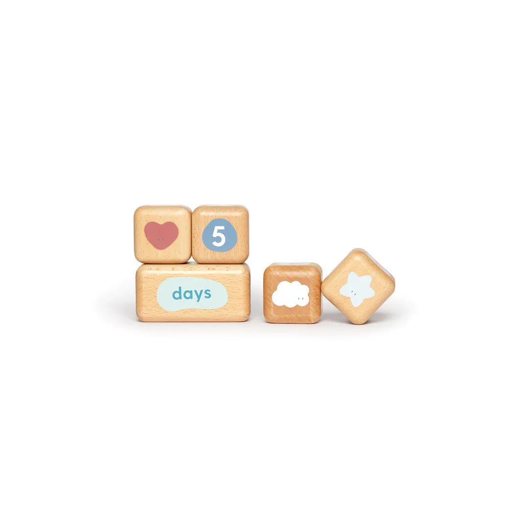 MORI Wooden Milestone Blocks - Multi