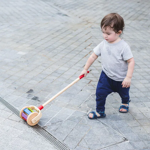 Plan Toys Walk N Roll (1 )