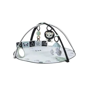 Tiny Love Classic Gymini  - Black & White