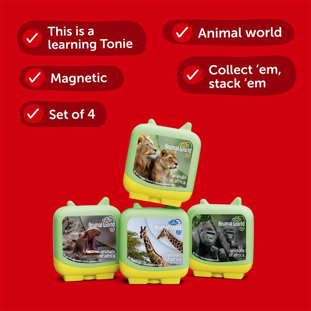 Tonies Clever Tonies - Animal World: Animals of Africa (4pk) - Multicoloured