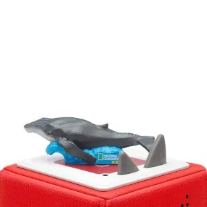 Tonies National Geographic - Whale